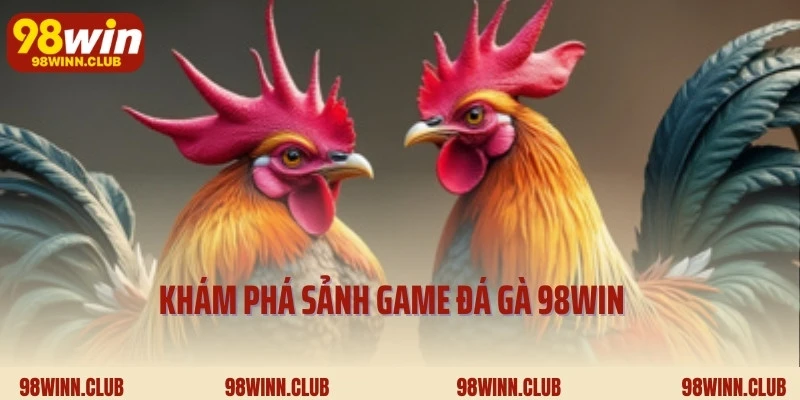 Khám phá sảnh game đá gà 98Win